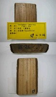 藏品(杉木)的圖片